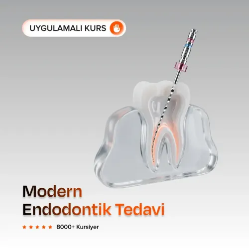 Modern Endodontik Tedavi