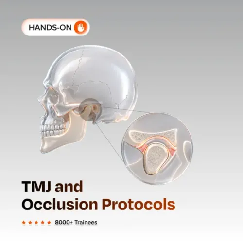 TMJ and Occlusion Protocols