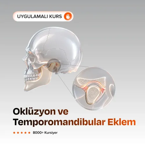 Oklüzyon ve Temporomandibular Eklem