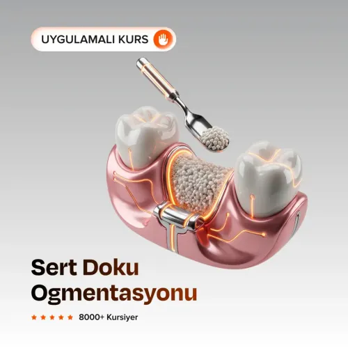 Sert Doku Ogmentasyonu
